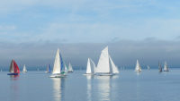 c-regatta2